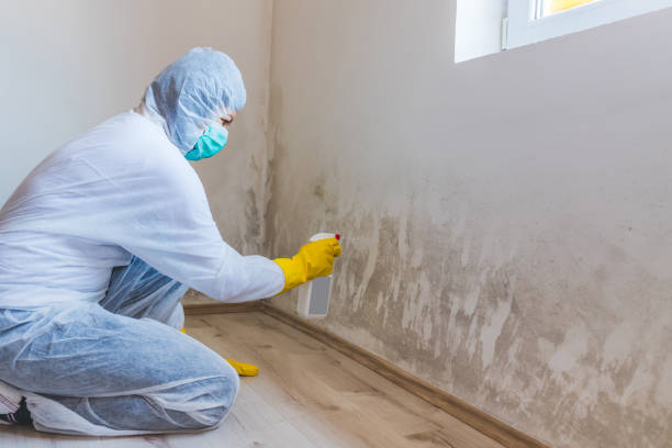 Mold Remediation specialist working in Osterburg